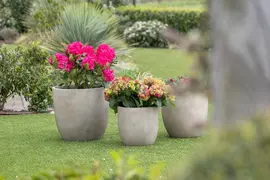 Mega Collections Bloempot Egg Texas – Ø32 x H31 cm – Zand - afbeelding 2