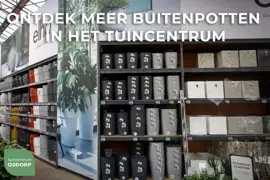 Mega Collections bloempot glazuur egg d48h21 bruin - afbeelding 2