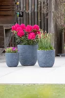Mega Collections Bloempot Utah Egg - Clayfibre – Ø55 x H51 cm – Graphite - afbeelding 2