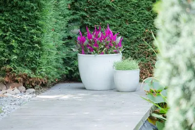 Mega Collections Geglazuurde Bloempot Egg 48x41 cm – Wit - afbeelding 2