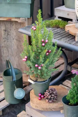 Mega Collections Plantenemmer Zink 1L - Ø13x11cm - Vintage Groen - afbeelding 2