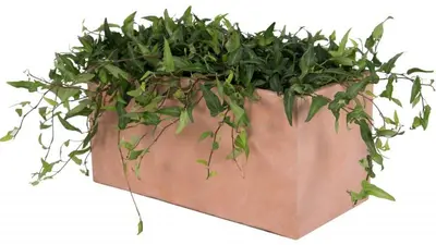 Mega Collections Terrasafscheiding Plantenbak Clayfibre L60 x B30x H30 cm Terracotta - afbeelding 3