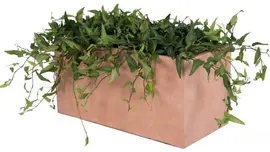 Mega Collections Terrasafscheiding Plantenbak Clayfibre L60 x B30x H30 cm Terracotta - afbeelding 3