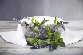 Mentha (Munt) - afbeelding 13