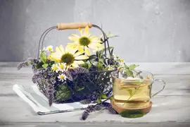 Mentha (Munt) - afbeelding 15