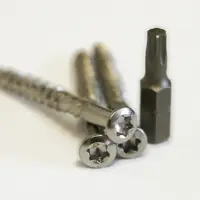 Meuwissen Agro Vlonderschroeven 5,0 x 50 mm, RVS 150 stuks + 2 bitjes - afbeelding 2