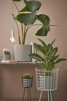 Mica Decorations bloempot Era rond 28x26cm grijs mat - afbeelding 7
