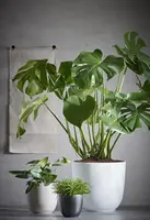 Mica Decorations bloempot  keramiek 8.5x7.5cm wit - afbeelding 2