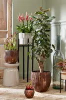 Mica Decorations bloempot roel terracotta 24x24cm roest - afbeelding 3