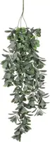 Mica Decorations kunst hangplant crassula 79cm groen kopen?