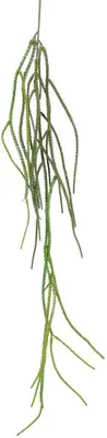 Mica Decorations kunst hangplant crinum calamistratum 115cm groen - afbeelding 1