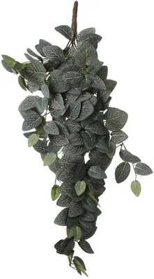 Mica Decorations kunst hangplant fittonia 54cm groen - afbeelding 1