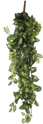 Mica Decorations kunst hangplant fittonia 80cm groen - afbeelding 1