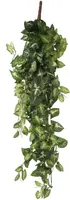 Mica Decorations kunst hangplant fittonia 80cm groen - afbeelding 1