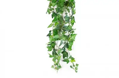 Mica Decorations kunst hangplant hedera 84cm groen - afbeelding 2