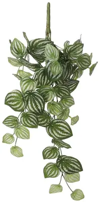 Mica Decorations kunst hangplant peperomia 58cm groen - afbeelding 1