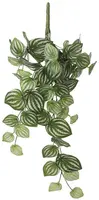 Mica Decorations kunst hangplant peperomia 58cm groen - afbeelding 1