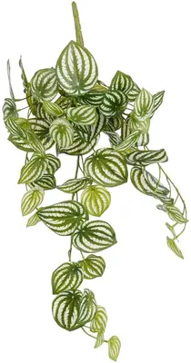 Mica Decorations kunst hangplant peperomia 65cm groen - afbeelding 1