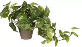 Mica Decorations kunst hangplant pothos 44cm groen - afbeelding 1