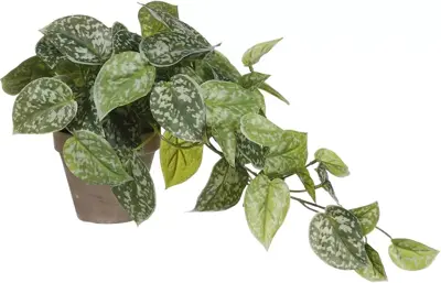 Mica Decorations kunst hangplant scindapsus 44cm groen - afbeelding 1