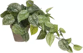 Mica Decorations kunst hangplant scindapsus 44cm groen kopen?