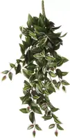 Mica Decorations kunst hangplant tradescantia 54cm groen kopen?