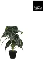 Mica Decorations kunstplant alocasia 50cm groen - afbeelding 1