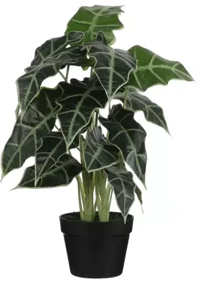 Mica Decorations kunstplant alocasia 60cm groen - afbeelding 2