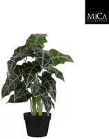 Mica Decorations kunstplant alocasia 60cm groen kopen?