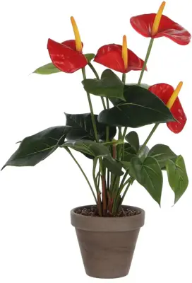 Mica Decorations kunstplant anthurium 40cm rood - afbeelding 1