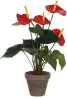 Mica Decorations kunstplant anthurium 40cm rood - afbeelding 1