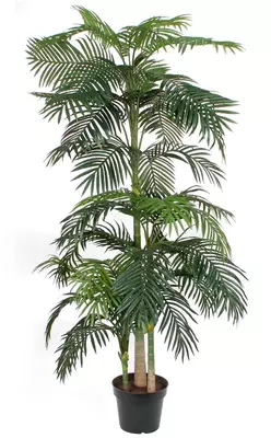 Mica Decorations kunstplant areca palm 240cm groen - afbeelding 1