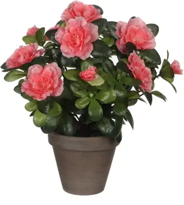 Mica Decorations kunstplant azalea 27cm perzik - afbeelding 1