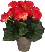Mica Decorations kunstplant begonia 25cm donkerroze - afbeelding 1