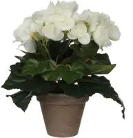 Mica Decorations kunstplant begonia 25cm wit - afbeelding 1