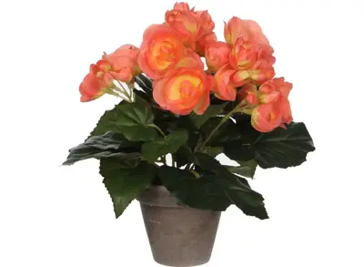 Mica Decorations kunstplant begonia 25cm zalm - afbeelding 1