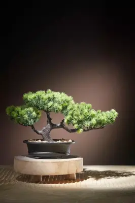 Mica Decorations kunstplant bonsai 21cm groen - afbeelding 2