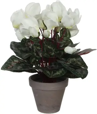 Mica Decorations kunstplant cyclaam 30cm wit - afbeelding 1