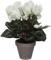 Mica Decorations kunstplant cyclaam 30cm wit - afbeelding 1