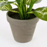 Mica Decorations kunstplant dieffenbachia 40cm groen - afbeelding 4