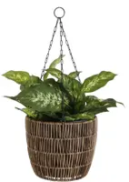 Mica Decorations kunstplant dieffenbachia 40cm groen - afbeelding 5