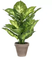 Mica Decorations kunstplant dieffenbachia 40cm groen - afbeelding 1