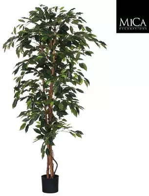 Mica Decorations kunstplant ficus 0cm groen - afbeelding 1