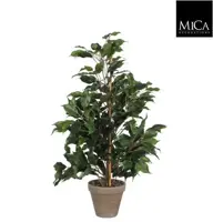 Mica Decorations kunstplant ficus exotica 65cm groen kopen?