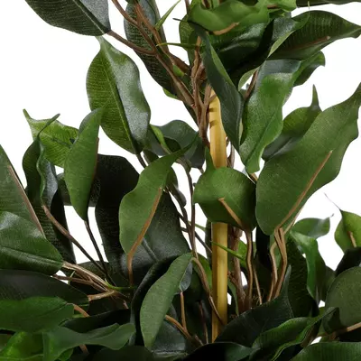 Mica Decorations kunstplant ficus exotica 65cm groen - afbeelding 3