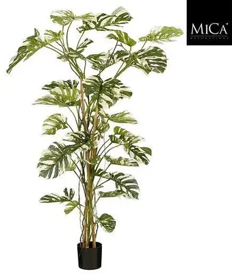 Mica Decorations kunstplant monstera 190cm groen - afbeelding 1