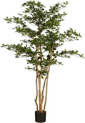 Mica Decorations kunstplant olijf 183cm groen - afbeelding 1
