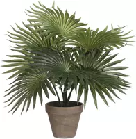 Mica Decorations kunstplant palm 40cm groen - afbeelding 1