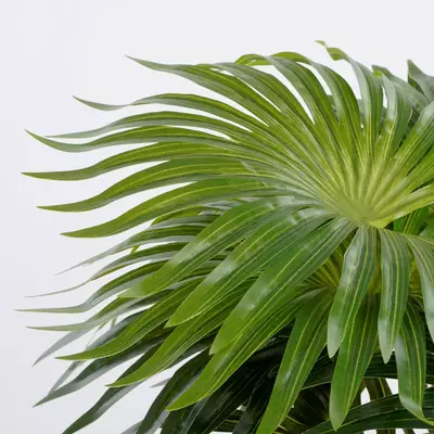 Mica Decorations kunstplant palm 40cm groen - afbeelding 2