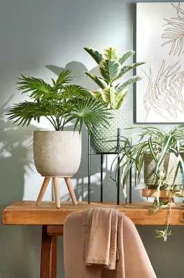 Mica Decorations kunstplant palm 40cm groen - afbeelding 4